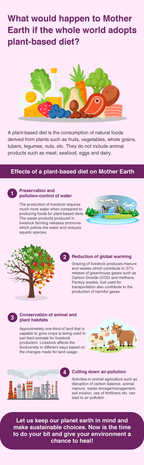 Choosing a Food Dehydrator – Mother Earth News